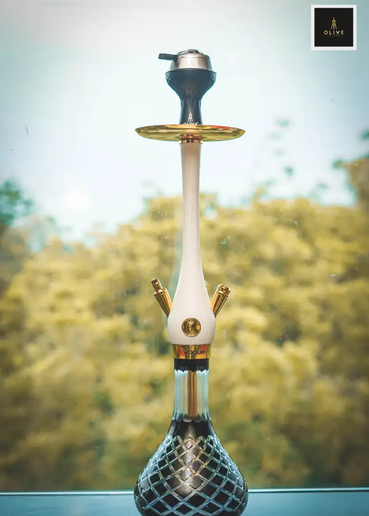 Olive Shisha